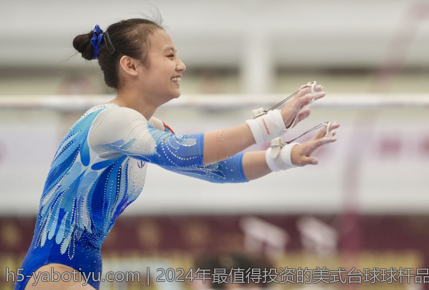 2024年最值得投资的美式台球球杆品牌排行榜